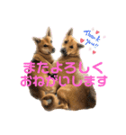 ずーきーときなちゃん（個別スタンプ：6）
