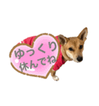 ずーきーときなちゃん（個別スタンプ：7）