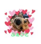 ずーきーときなちゃん（個別スタンプ：14）
