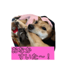 ずーきーときなちゃん（個別スタンプ：15）