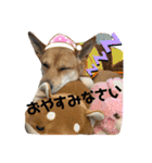 ずーきーときなちゃん（個別スタンプ：18）