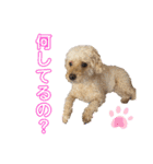我が家のふうあ大先生♡（個別スタンプ：2）