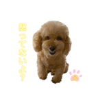 我が家のふうあ大先生♡（個別スタンプ：3）