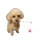 我が家のふうあ大先生♡（個別スタンプ：5）
