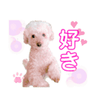 我が家のふうあ大先生♡（個別スタンプ：9）