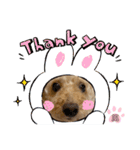 我が家のふうあ大先生♡（個別スタンプ：10）