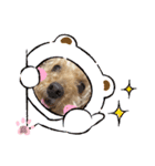 我が家のふうあ大先生♡（個別スタンプ：11）