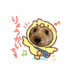 我が家のふうあ大先生♡（個別スタンプ：14）