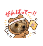 我が家のふうあ大先生♡（個別スタンプ：15）