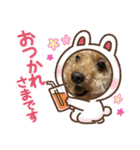 我が家のふうあ大先生♡（個別スタンプ：19）