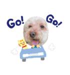 我が家のふうあ大先生♡（個別スタンプ：25）