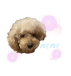 我が家のふうあ大先生♡（個別スタンプ：27）