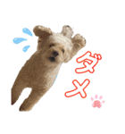 我が家のふうあ大先生♡（個別スタンプ：30）