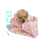 我が家のふうあ大先生♡（個別スタンプ：31）