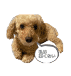 我が家のふうあ大先生♡（個別スタンプ：32）