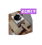 元保護猫 日常スタンプ（個別スタンプ：23）