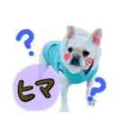 うちのきなこ！！！！（個別スタンプ：16）