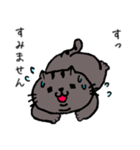 うちのねこ さくら2（個別スタンプ：1）