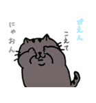 うちのねこ さくら2（個別スタンプ：11）