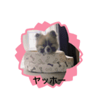 りおねねるいチップ2（個別スタンプ：9）