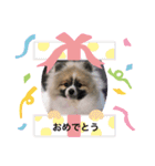 りおねねるいチップ2（個別スタンプ：15）