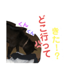 ベンちゃんのスタンプ2020（個別スタンプ：6）
