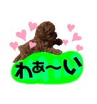 犬♡トイプードル実写2（個別スタンプ：11）