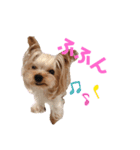 no dogs no life！（個別スタンプ：2）
