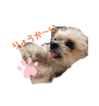 no dogs no life！（個別スタンプ：3）