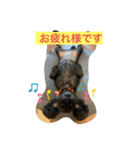 ゆっこと愉快な家族（個別スタンプ：1）
