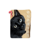 ねこねこファイブ！（個別スタンプ：2）