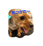 popo麦（個別スタンプ：2）