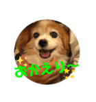 popo麦（個別スタンプ：5）