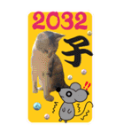 特別な日に送るBIGスタンプ（個別スタンプ：5）