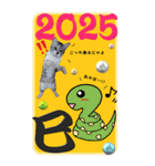 特別な日に送るBIGスタンプ（個別スタンプ：10）