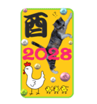 特別な日に送るBIGスタンプ（個別スタンプ：13）