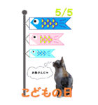 特別な日に送るBIGスタンプ（個別スタンプ：23）