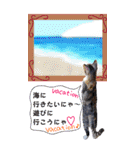 特別な日に送るBIGスタンプ（個別スタンプ：25）