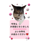 特別な日に送るBIGスタンプ（個別スタンプ：33）