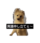 わいのわんこ2（個別スタンプ：6）