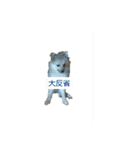 わいのわんこ1（個別スタンプ：3）