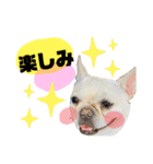 うちのきなこ！！！（個別スタンプ：10）