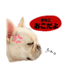 うちのきなこ！！！（個別スタンプ：12）