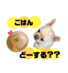 うちのきなこ！！！（個別スタンプ：15）