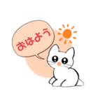 記号猫白猫ちゃん6（個別スタンプ：1）