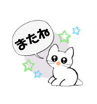 記号猫白猫ちゃん6（個別スタンプ：2）