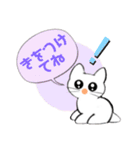記号猫白猫ちゃん6（個別スタンプ：6）