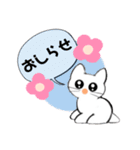 記号猫白猫ちゃん6（個別スタンプ：8）