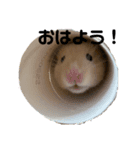 モタハウス（個別スタンプ：2）