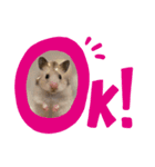 モタハウス（個別スタンプ：4）